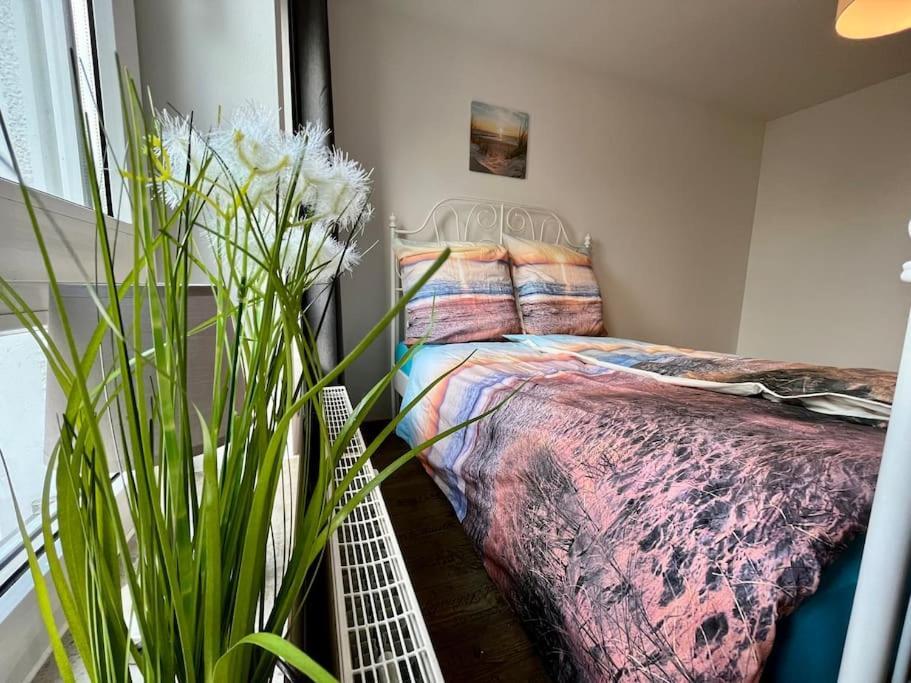 Am Puls Der Stadt, Inkl Tg-stellplatz & Balkon Apartment